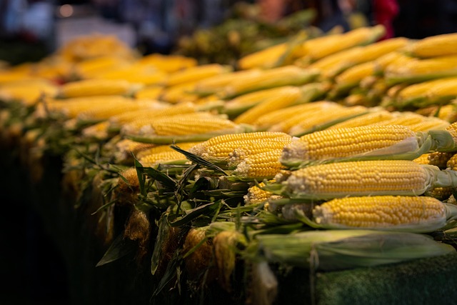 Fresh Sweet Corn on the Cob