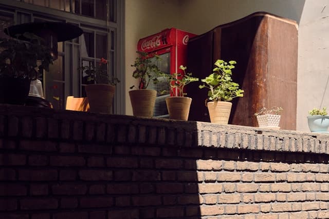 Small potted plants arranged on a balcony ledge in an urban home