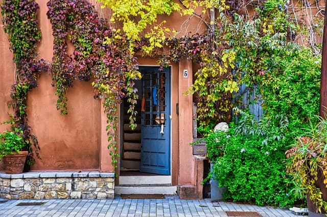 House entrance decorated with lush green plants and climbing vines