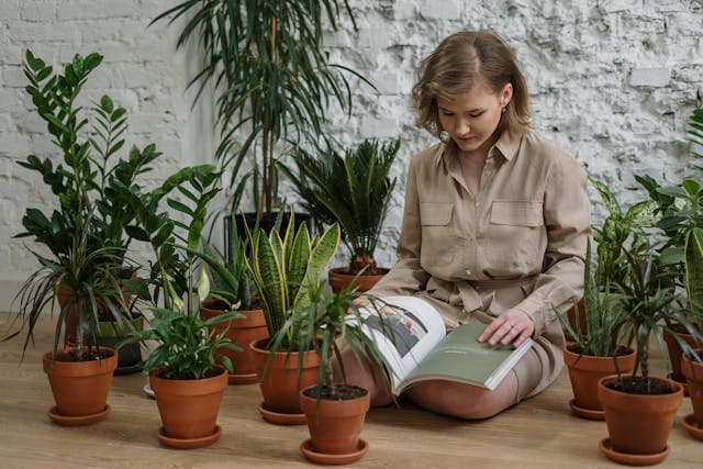 Person sitting among indoor potted plants creating a peaceful environment